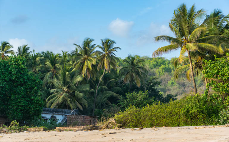 Velneshwar Beach Resorts and Hotels near Mumbai